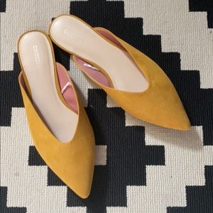 Flat Mules ⭐️🌟⭐️